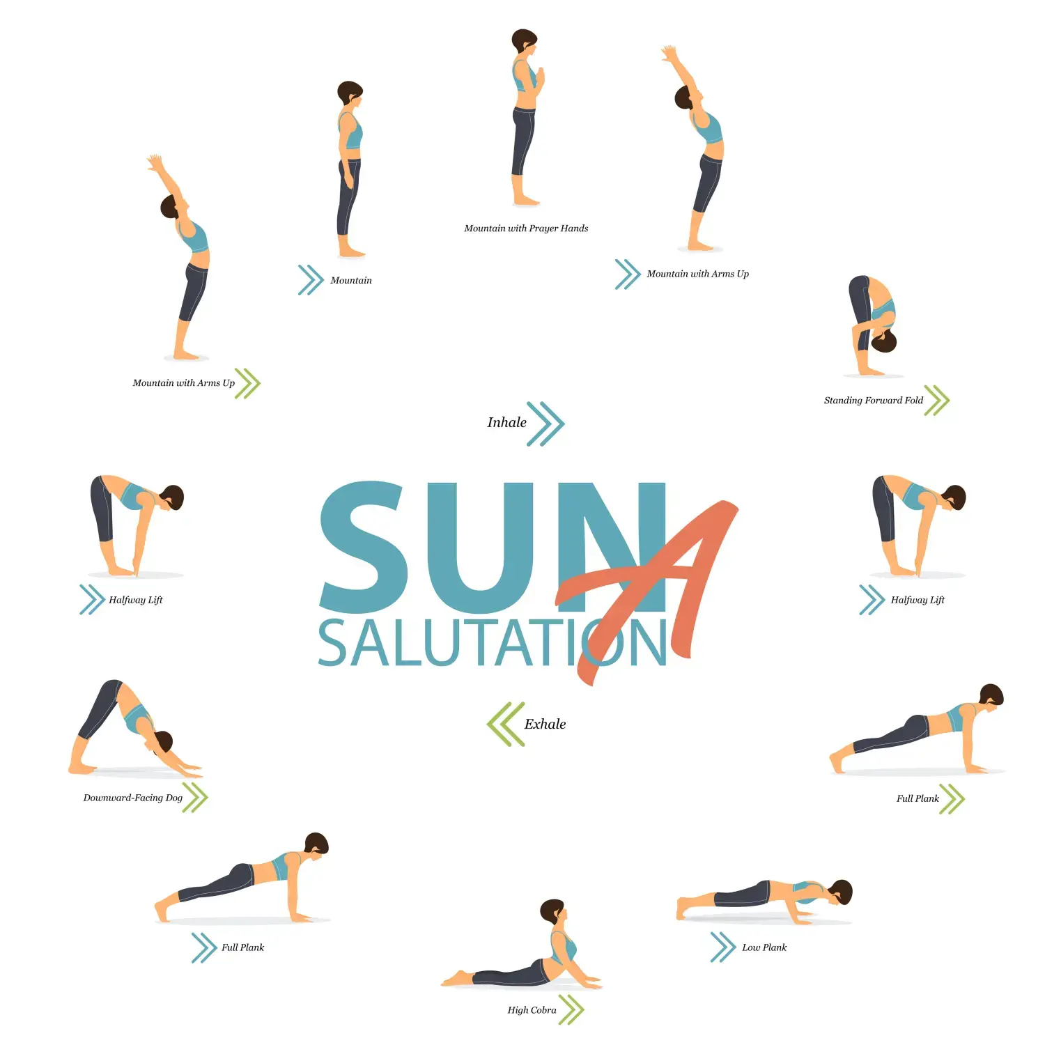 Infografik von 6 Yoga-Posen für Yoga zu Hause im Konzept von Yoga Sun Salutation A im flachen Design. Frau macht Übungen zur Körperdehnung.